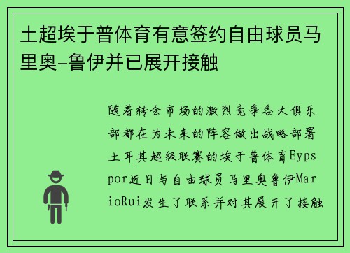 土超埃于普体育有意签约自由球员马里奥-鲁伊并已展开接触